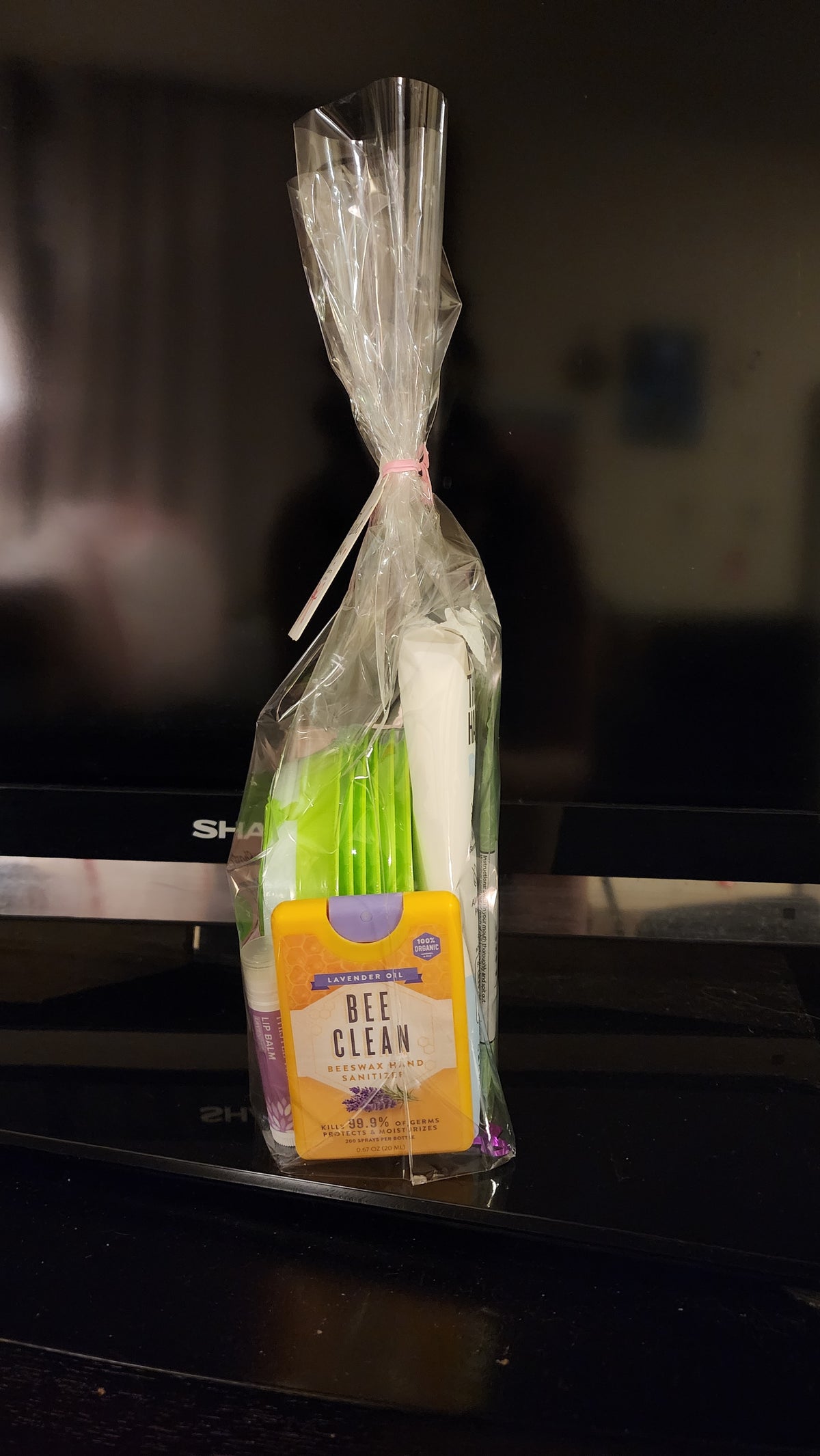 Kit - Emesis/Nausea Bags, Hand Sanitizer, Hand Wipes, Mouthwash, Lip Balm