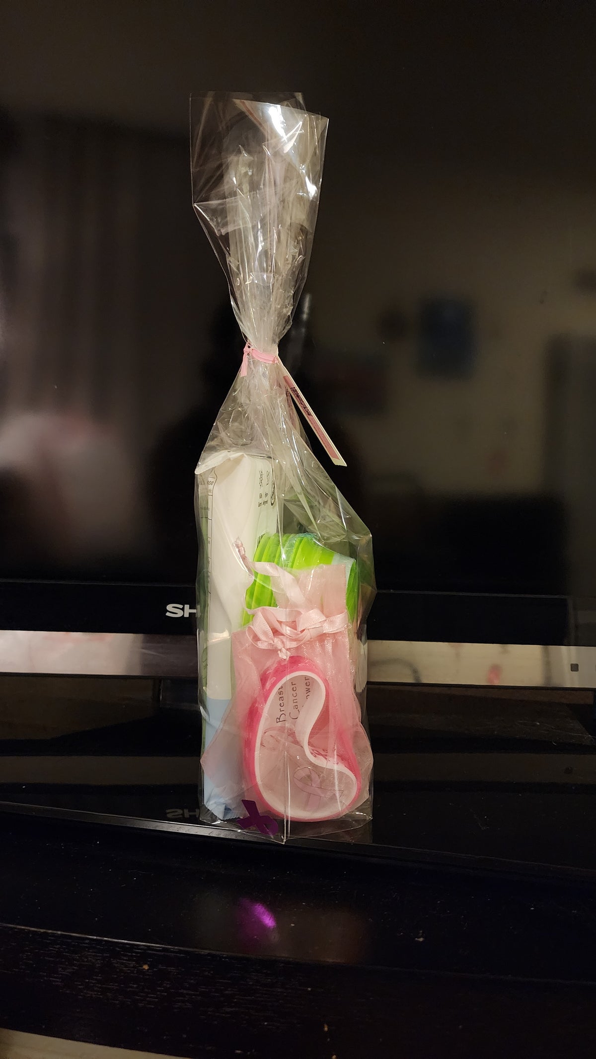 Kit - Emesis/Nausea Bags, Hand Sanitizer, Hand Wipes, Mouthwash, Lip Balm
